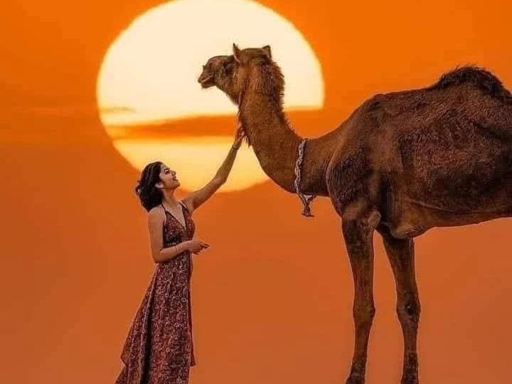 Om Luxury Resort Jaisalmer Εξωτερικό φωτογραφία